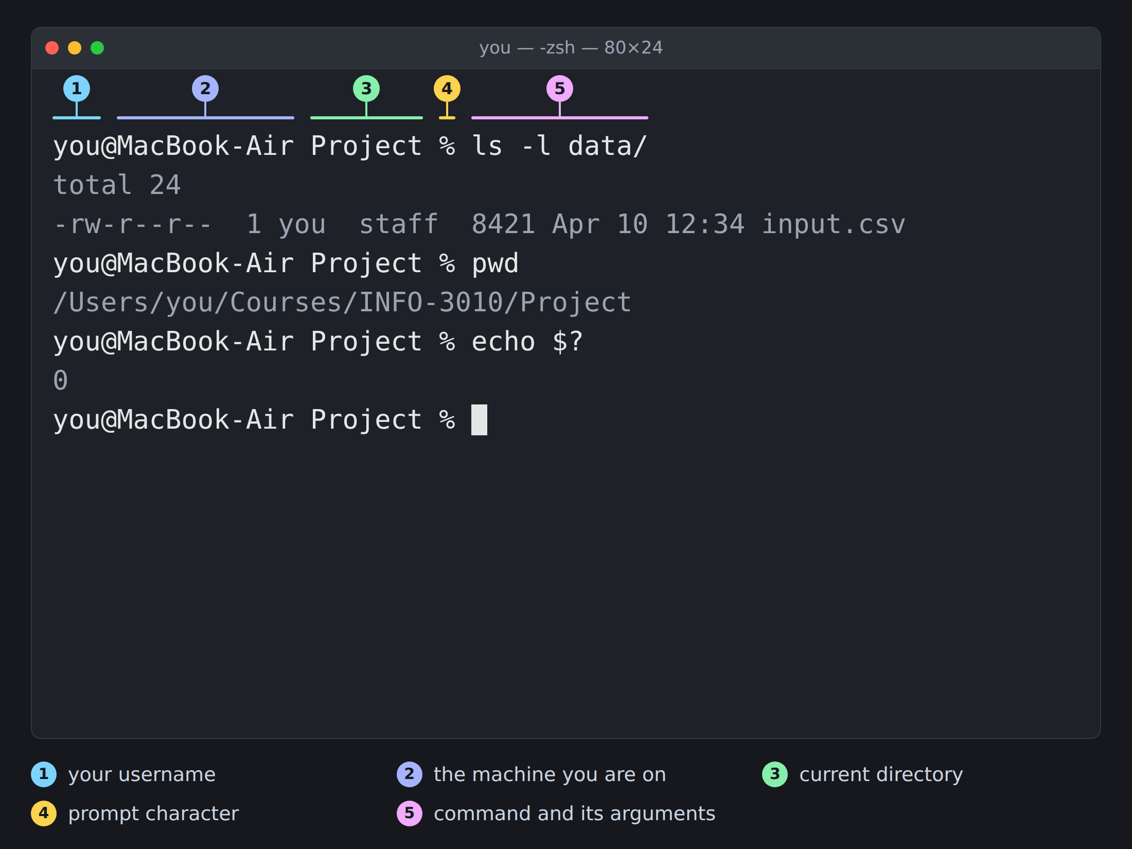 Illustration of a macOS Terminal window. The command line reads 'you@MacBook-Air Project % ls -l data/', with its output below, followed by 'pwd' printing /Users/you/Courses/INFO-3010/Project and 'echo $?' printing 0. Five numbered callouts label the parts of the prompt in order: the username, the machine name, the current directory, the % prompt character, and the command with its arguments.