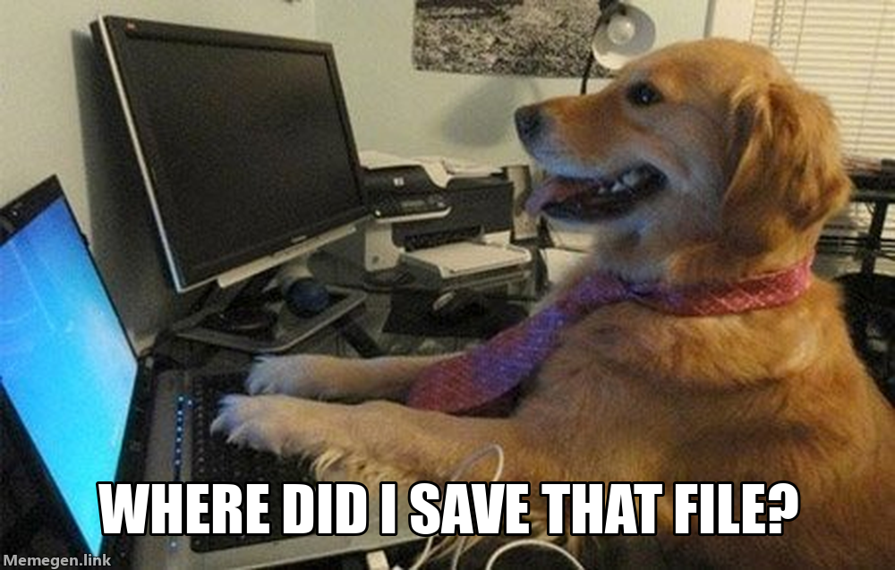 No Idea Dog Meme: Where Did I Save That File?