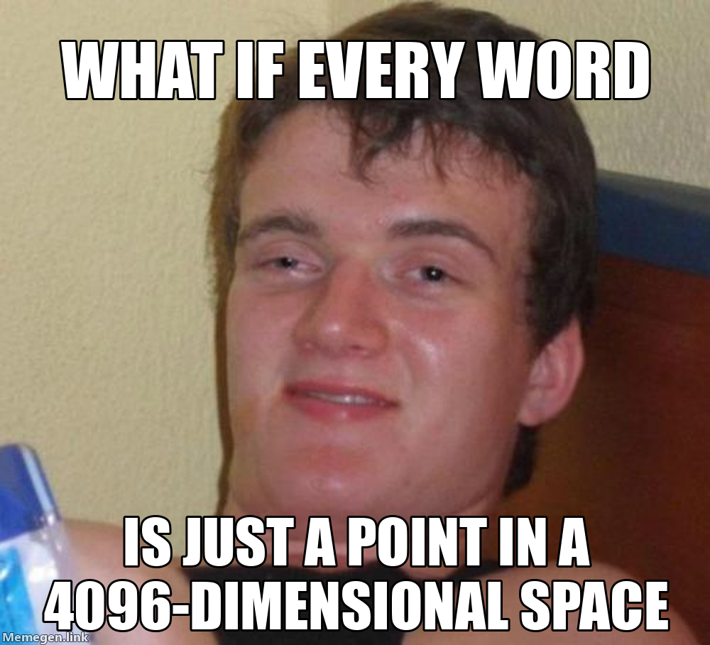 Ten Guy Meme: What if every word is just a point in a 4096-dimensional space?