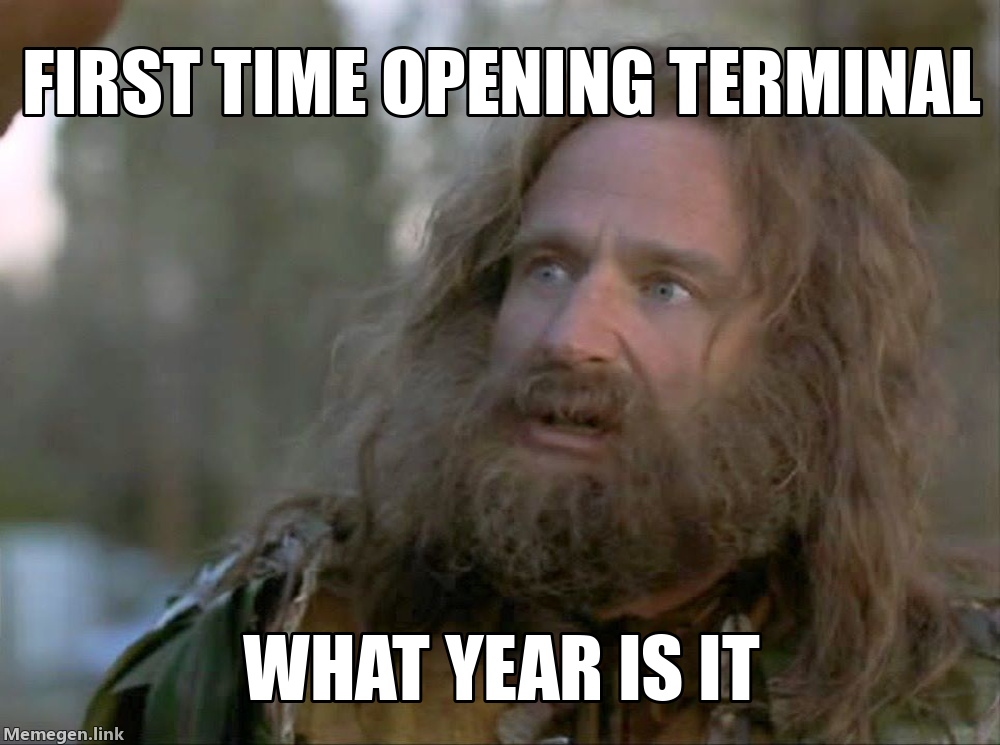 What Year Is It? Meme: First Time Opening Terminal, What Year Is It?