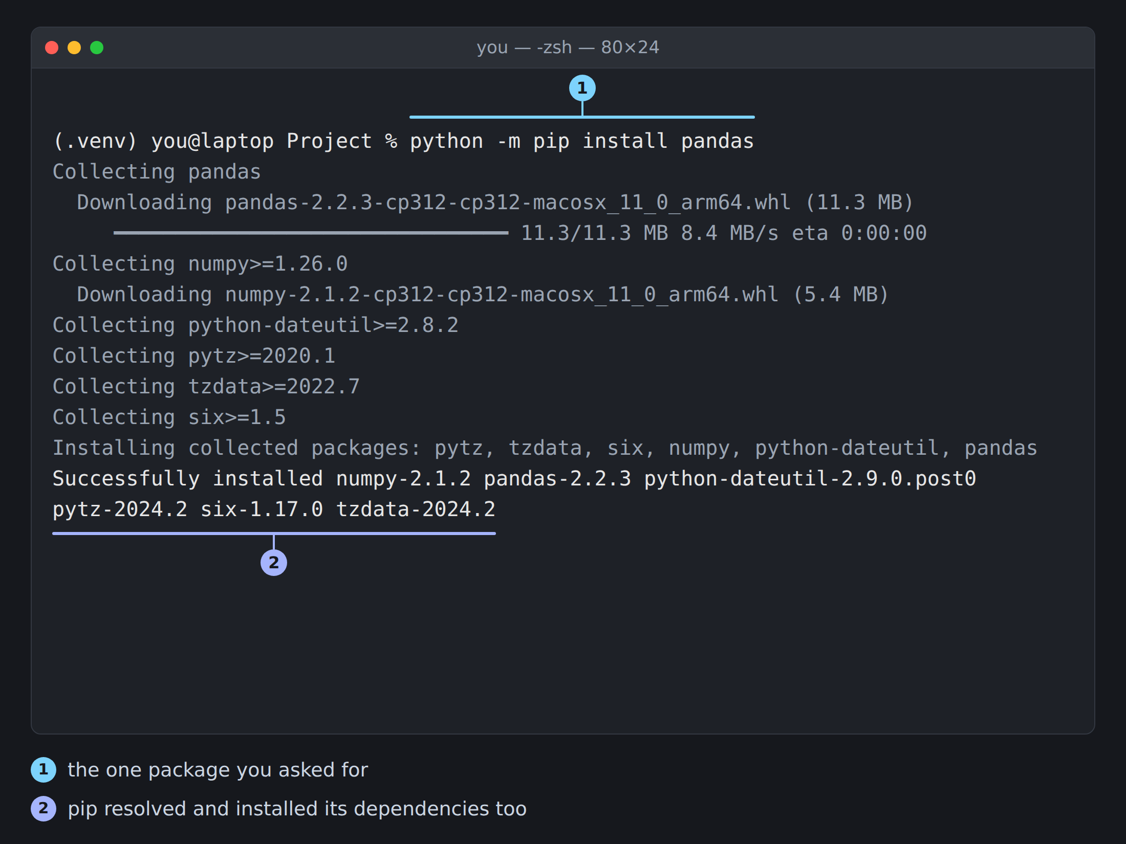 Illustration of a terminal window running 'python -m pip install pandas'. The output collects pandas, shows a download progress bar, then collects numpy, python-dateutil, pytz, tzdata, and six, and ends with 'Successfully installed numpy-2.1.2 pandas-2.2.3 python-dateutil-2.9.0.post0 pytz-2024.2 six-1.17.0 tzdata-2024.2'. Numbered callouts mark the single package requested and the full list of packages actually installed.
